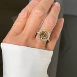 Twisted Tessa Halo Ring