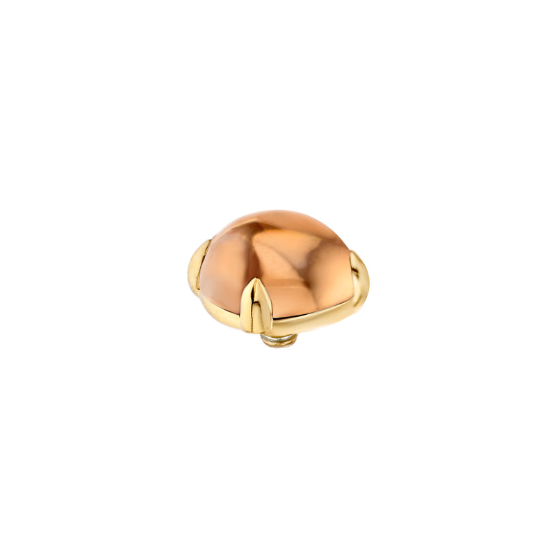 TORY | Champagne | Gold |8mm